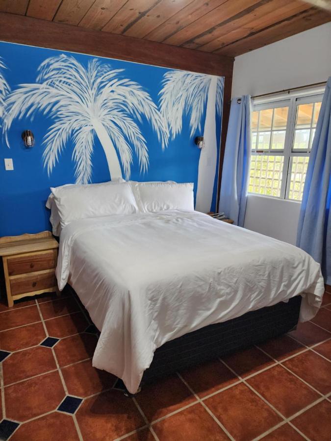 The Bnb On Triggerfish Close To The Airport Ladyville Exterior photo